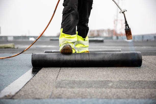 Best Roof Ventilation Installation  in Eton, GA