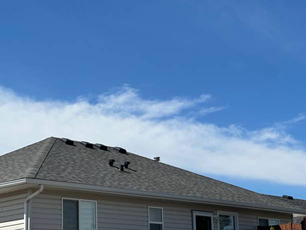 Best Cold Roofs  in Eton, GA